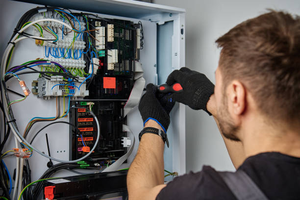 Licensed Electrical Panel Upgrade service in La Paloma, TX - No Joke electrician